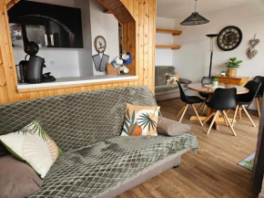 Studio cosy exposé sud avec balcon, à 2 pas des pistes et du centre, bien équipé pour 4 pers. - FR-1-417-59 Fontcouverte-La Toussuire